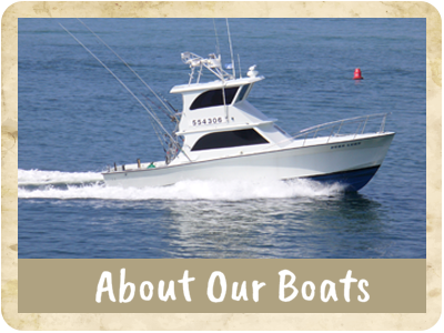 About Our Boats