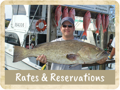 Rates and Reservations