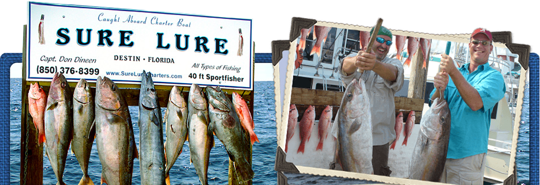 Sure Lure Charters Logo