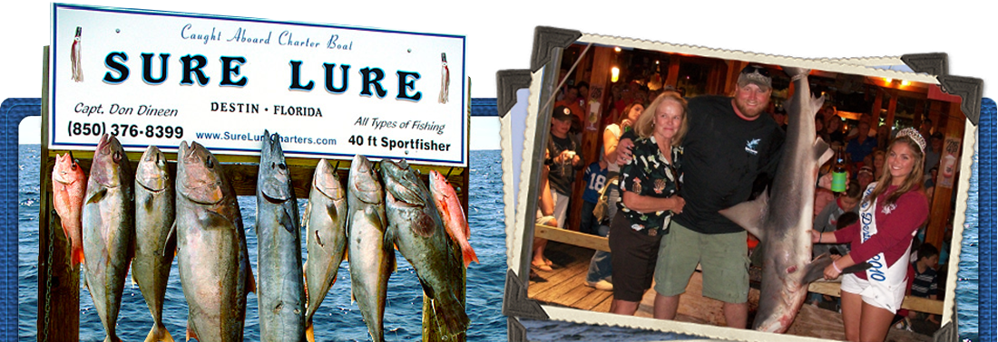 Sure Lure Charters Logo